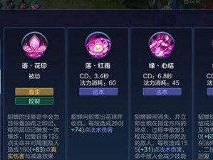 《闪电貂出装铭文攻略最新》（解析闪电貂出装铭文搭配，助你在游戏中一飞冲天）