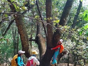 探寻山间有点田的技能攻略（发掘乡村生活中的无限可能）