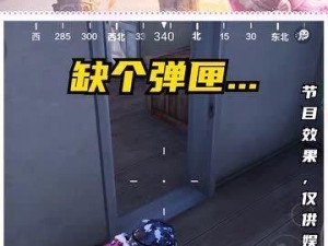 和平精英的双供弹匣怎么用,解锁全新战斗技巧