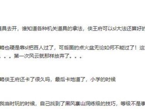 《风云天下游戏攻略大全》（成为绝世高手，一统天下！）