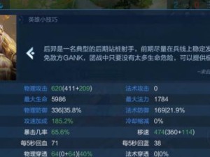 《以后裔怎么出装攻略》（打造最强后裔，装备攻略全解析）