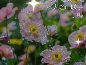 《炽热之剑后羿出装顺序攻略》（最强输出之路，装备搭配有妙招）