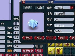 梦幻西游胚子出装攻略大全（一站式指导，让你的胚子更加强大！）