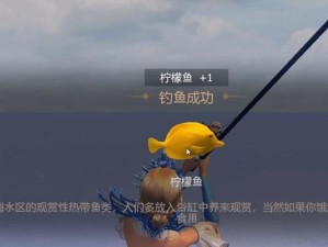 文明重启（掌握关键装备，带你登上文明重启的巅峰！）