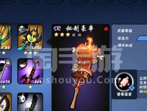 《星奈歌姬出装攻略》（打造最强星奈歌姬，装备选择一网打尽！）