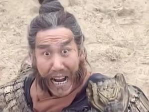 《如何斩杀夏侯渊？攻略大揭秘！》（战无不胜，夏侯渊必杀！）