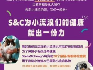 《流浪日记变强攻略》（细节决定成败，掌握这一个就能提升你的游戏水平！）