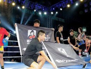 勇士险胜黑熊阵容出装攻略（破解黑熊阵容，勇士出装必备！）