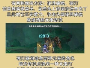 原神萌新攻略手册（萌新必看，揭秘原神世界的隐藏宝藏！）