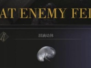 《艾尔登法环大卢恩攻略》（零基础玩家也能成为强力战士的秘诀）