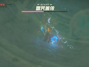掌握塞尔达加农攻略的秘诀（成为真正的冒险家，畅游塞尔达王国）