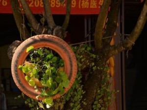 玫瑰小镇种植技能点攻略（打造玫瑰花海，你需要掌握的15个种植技能点）
