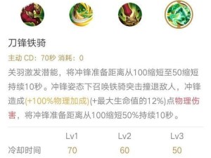 《路人单挑关羽出装攻略》（全面解析关羽出装，助您在战场上无往不胜）