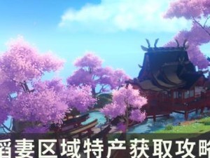 探索原神邻居攻略大全，成为顶级冒险者（发掘世界奥秘，揭开邻居的秘密，攀登巅峰冒险）