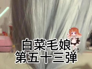 深入挖掘申鹤传说任务流程，助你游刃有余！（深入挖掘申鹤传说任务流程，助你游刃有余！）