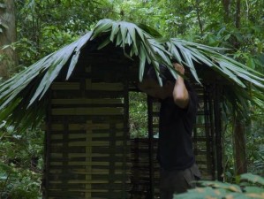 生存指南（揭秘丛林求生的关键技巧与技术，助你在荒野中存活下来）