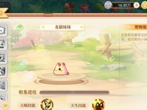 《永恒岛枪手技能搭配攻略》（探索永恒岛，打造无敌枪手！）