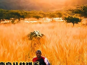 《屠夫鳄鱼出装顺序攻略大全》（逐步解析屠夫鳄鱼的出装套路，助你在游戏中取得优势）