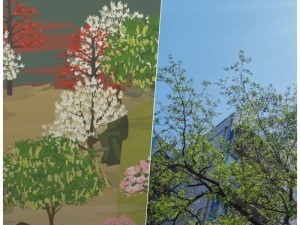 以老农种树养山，助力生态建设（传承农耕文化，推动）