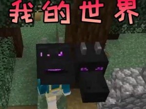 我的世界龙首怎么得到,探索我的世界龙首的神秘获取之道