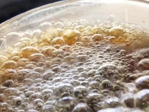 最新扁鹊攻略（掌握关键装备，成为无敌扁鹊）